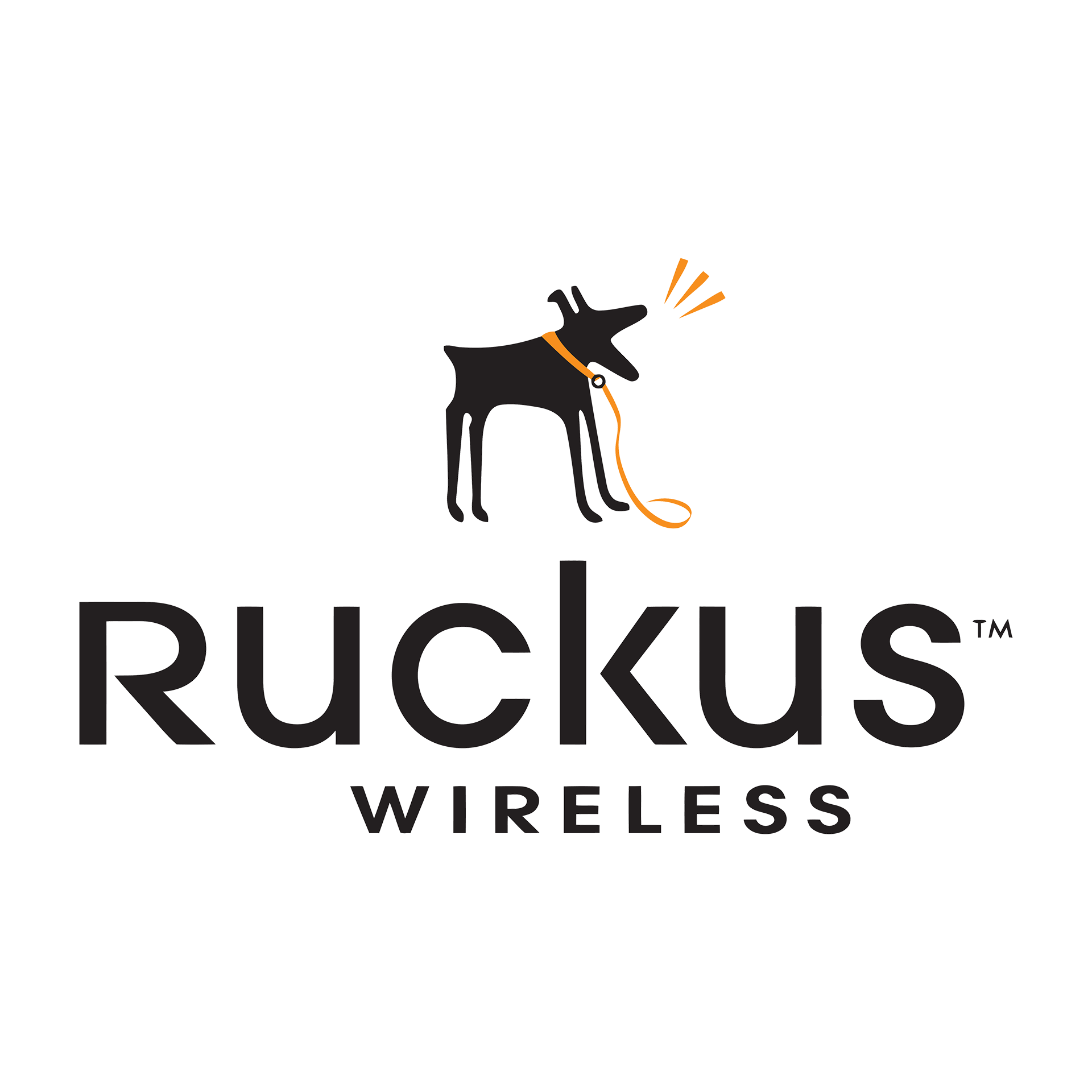 Ruckus Wireless